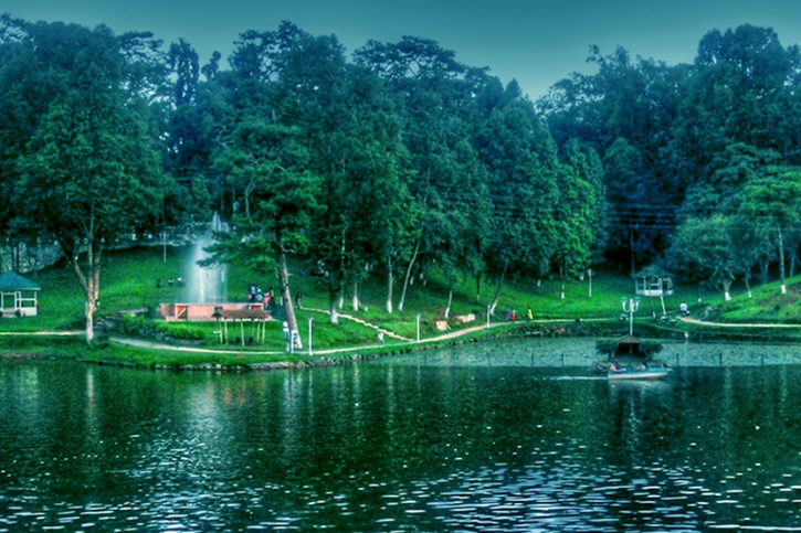 Ward's lake