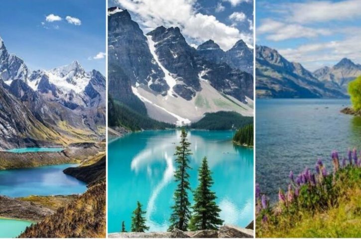 Explore a variety of landscapes and ecosystems.
