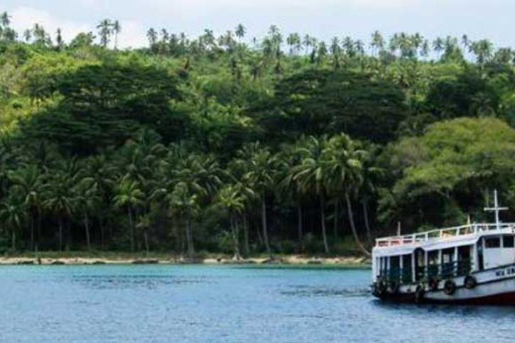 Viper Island
