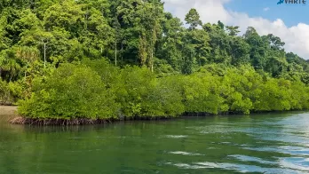 BaratangIsland.png_1689764159.png