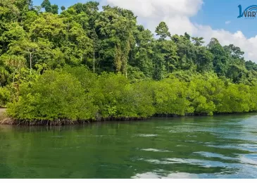 Baratang Island - A Gateway To Mud Volcanoes in Andaman & Nicobar Islands 