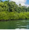 Baratang Island - A Gateway To Mud Volcanoes in Andaman & Nicobar Islands 