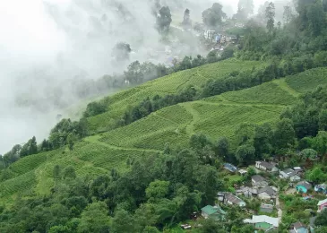 The Ultimate Travel Bucket List Of East India 