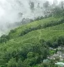 The Ultimate Travel Bucket List Of East India 