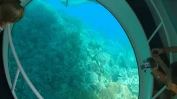 GlassBottomBoatRideinAndamans.png_1690099554.png