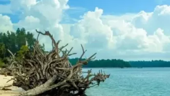 MerkBayBeachinAndaman.png_1691736863.png