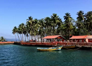 Plan An Epic Trip To North Bay Island 