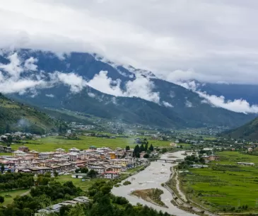 Paro.png_1690629650.png
