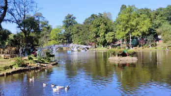 WardsLake.png_1690527776.png